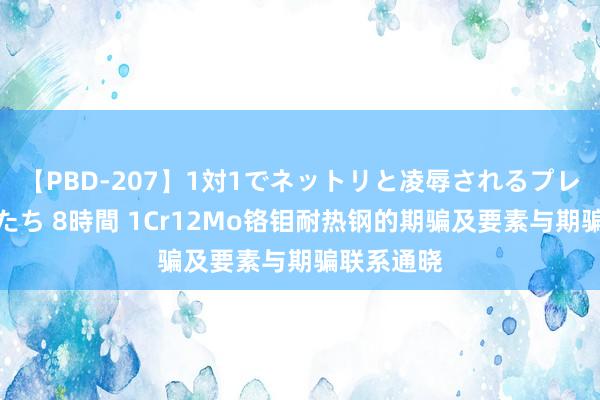 【PBD-207】1対1でネットリと凌辱されるプレミア女優たち 8時間 1Cr12Mo铬钼耐热钢的期骗及要素与期骗联系通晓