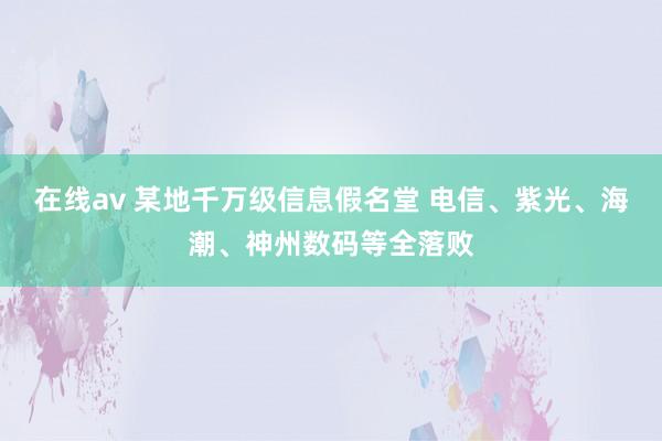 在线av 某地千万级信息假名堂 电信、紫光、海潮、神州数码等全落败