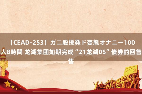 【CEAD-253】ガニ股挑発ド変態オナニー100人8時間 龙湖集团如期完成“21龙湖05”债券的回售