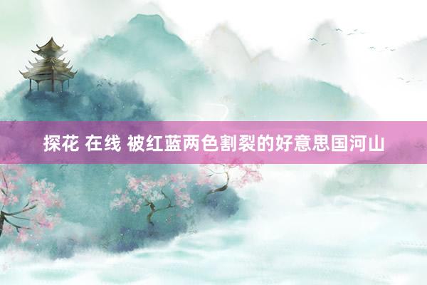 探花 在线 被红蓝两色割裂的好意思国河山