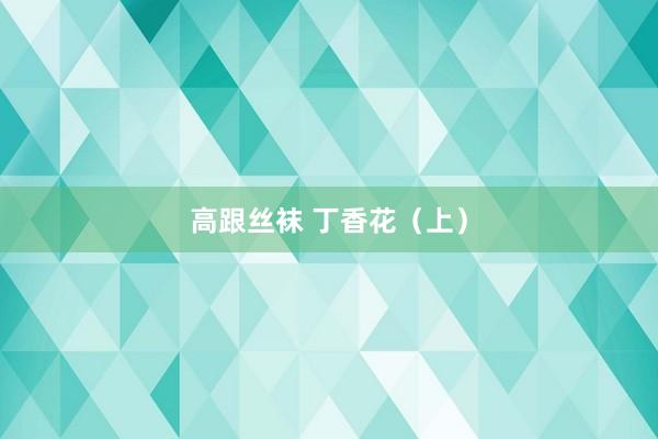 高跟丝袜 丁香花（上）