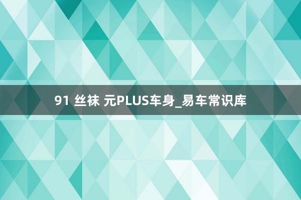 91 丝袜 元PLUS车身_易车常识库