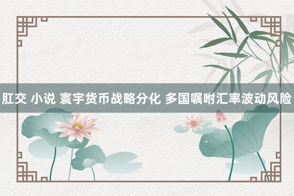 肛交 小说 寰宇货币战略分化 多国嘱咐汇率波动风险