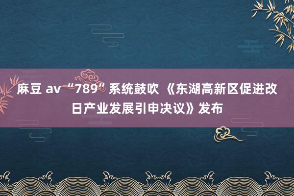 麻豆 av “789”系统鼓吹 《东湖高新区促进改日产业发展引申决议》发布