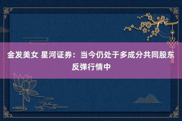 金发美女 星河证券：当今仍处于多成分共同股东反弹行情中