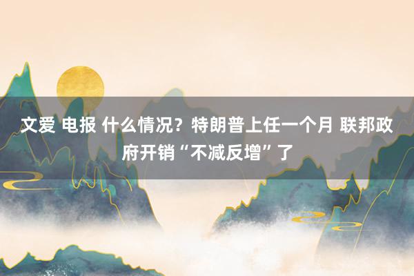 文爱 电报 什么情况？特朗普上任一个月 联邦政府开销“不减反增”了