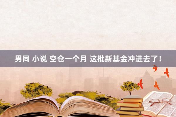 男同 小说 空仓一个月 这批新基金冲进去了！
