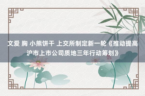 文爱 胸 小熊饼干 上交所制定新一轮《推动提高沪市上市公司质地三年行动筹划》