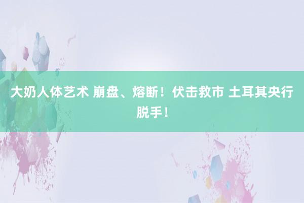 大奶人体艺术 崩盘、熔断！伏击救市 土耳其央行脱手！