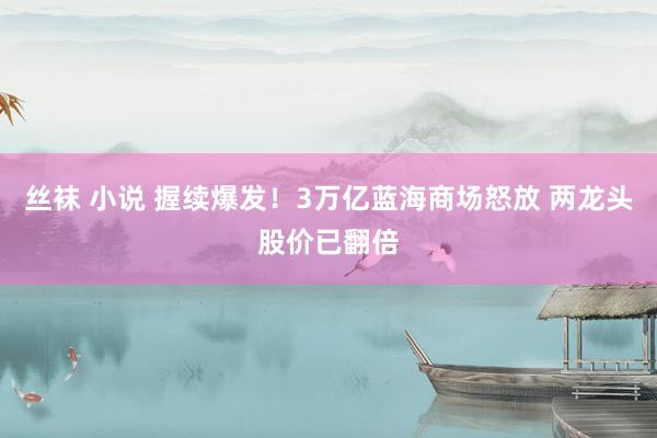 丝袜 小说 握续爆发！3万亿蓝海商场怒放 两龙头股价已翻倍